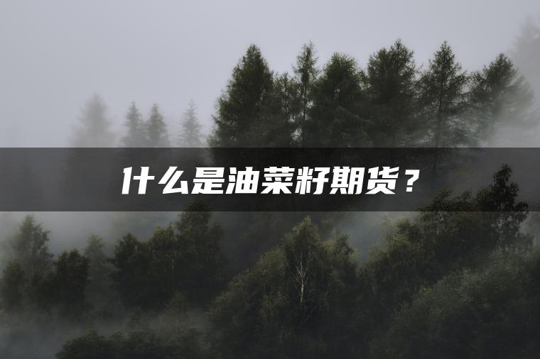什么是油菜籽期货？