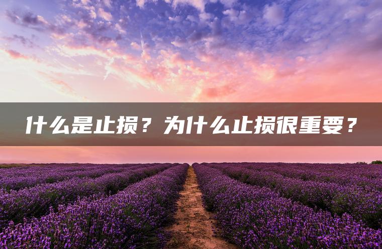 什么是止损？为什么止损很重要？