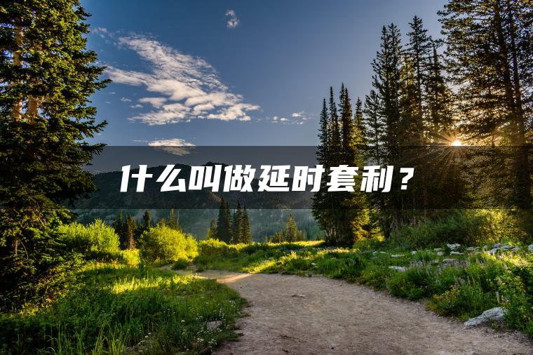 什么叫做延时套利? 什么叫做延时套利?