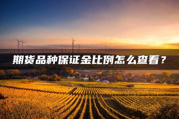 期货品种保证金比例怎么查看？
