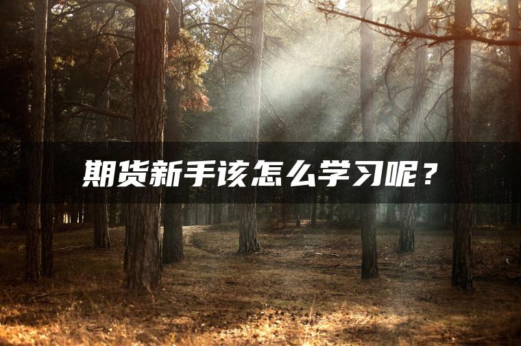期货新手该怎么学习呢？
