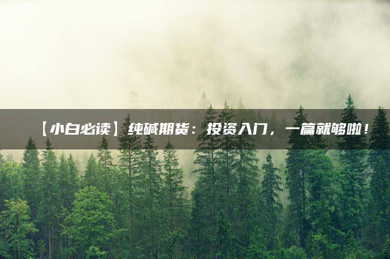 【小白必读】纯碱期货：投资入门，一篇就够啦！