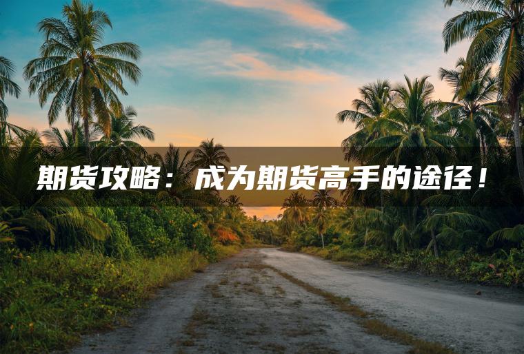 期货攻略：成为期货高手的途径！