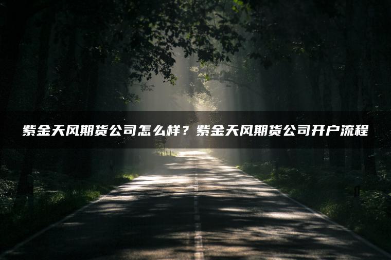 紫金天风期货公司怎么样？紫金天风期货公司开户流程