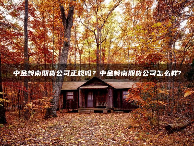 中金岭南期货公司正规吗？中金岭南期货公司怎么样?