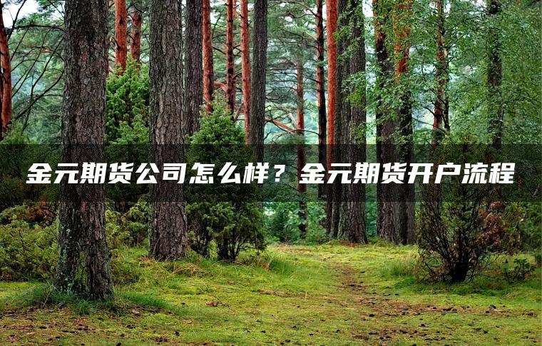 金元期货公司怎么样？金元期货开户流程
