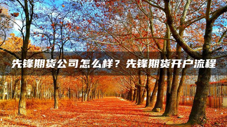 先锋期货公司怎么样？先锋期货开户流程
