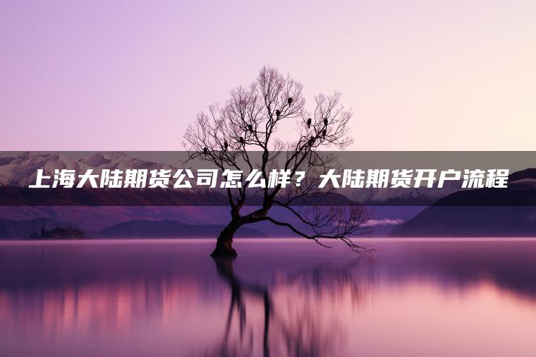 上海大陆期货公司怎么样？大陆期货开户流程
