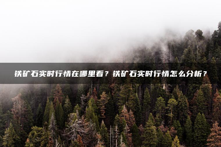 铁矿石实时行情在哪里看？铁矿石实时行情怎么分析？