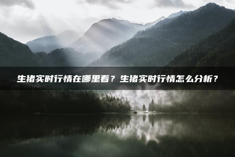 生猪实时行情在哪里看？生猪实时行情怎么分析？