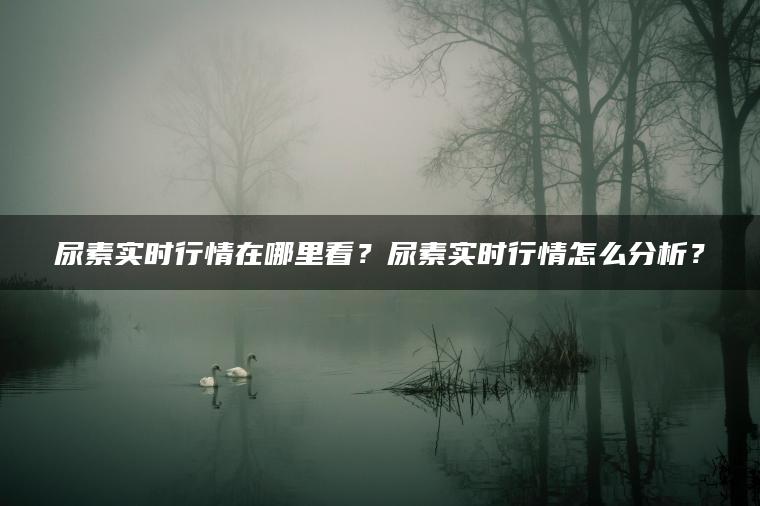 尿素实时行情在哪里看？尿素实时行情怎么分析？