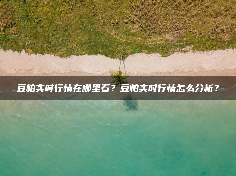 豆粕实时行情在哪里看？豆粕实时行情怎么分析？