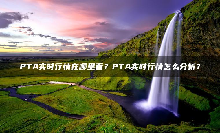 PTA实时行情在哪里看？PTA实时行情怎么分析？