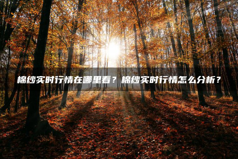 棉纱实时行情在哪里看？棉纱实时行情怎么分析？