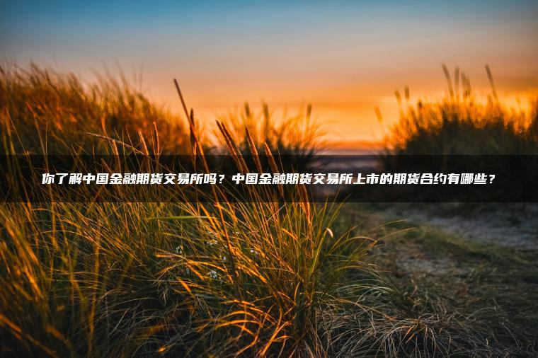 你了解中国金融期货交易所吗？中国金融期货交易所上市的期货合约有哪些？