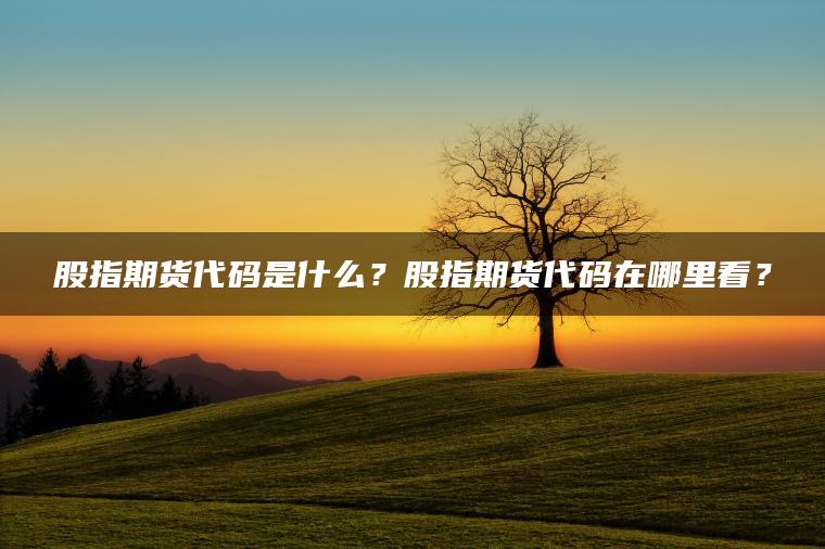 股指期货代码是什么？股指期货代码在哪里看？