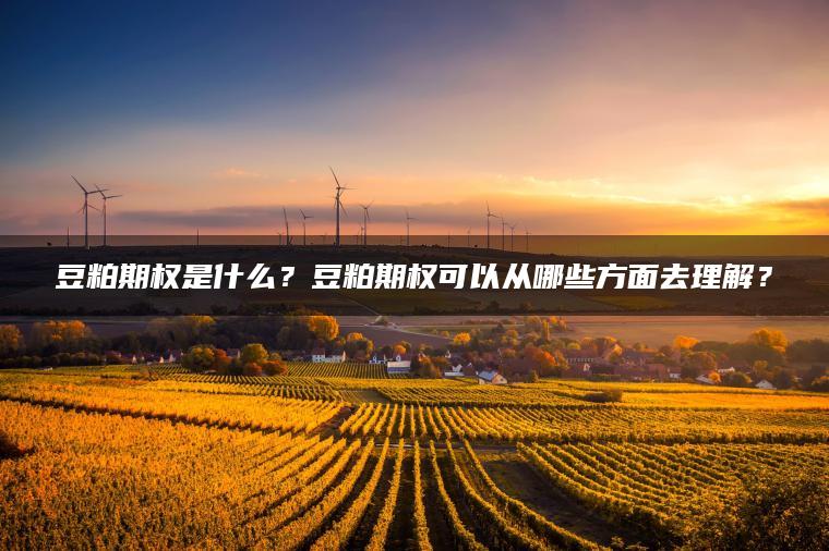 豆粕期权是什么？豆粕期权可以从哪些方面去理解？