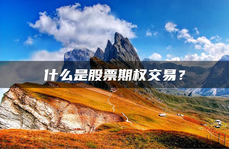 什么是股票期权交易？