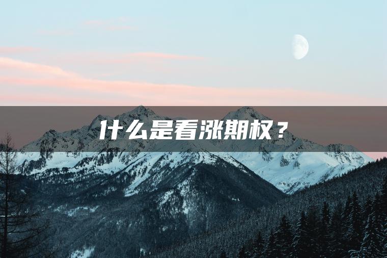 什么是看涨期权？