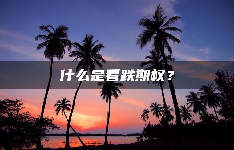 什么是看跌期权？