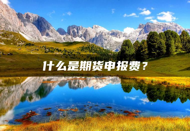 什么是期货申报费？