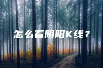 怎么看阴阳K线？