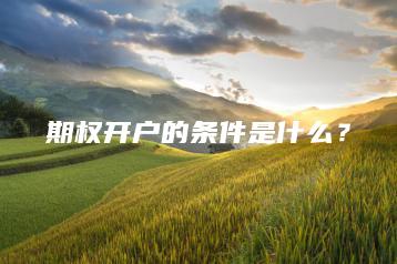 期权开户的条件是什么？
