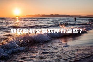 期权模拟交易软件有哪些？
