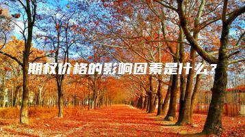 期权价格的影响因素是什么？