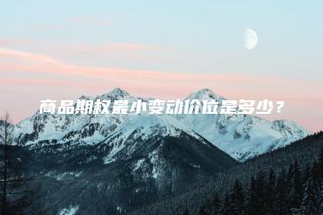 商品期权最小变动价位是多少？