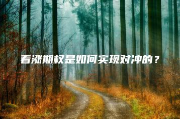看涨期权是如何实现对冲的？