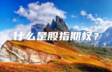 什么是股指期权？