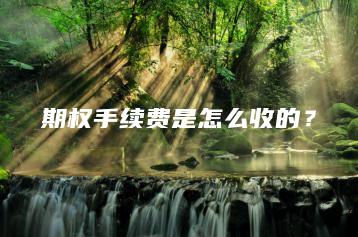 期权手续费是怎么收的？