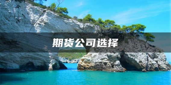 期货公司选择