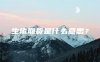 生猪期货是什么意思?