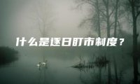 什么是逐日盯市制度？