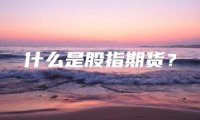 什么是股指期货？
