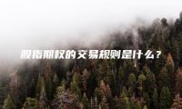 股指期权的交易规则是什么？