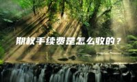 期权手续费是怎么收的？