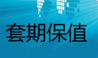 什么是套期保值?