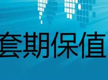 什么是套期保值?